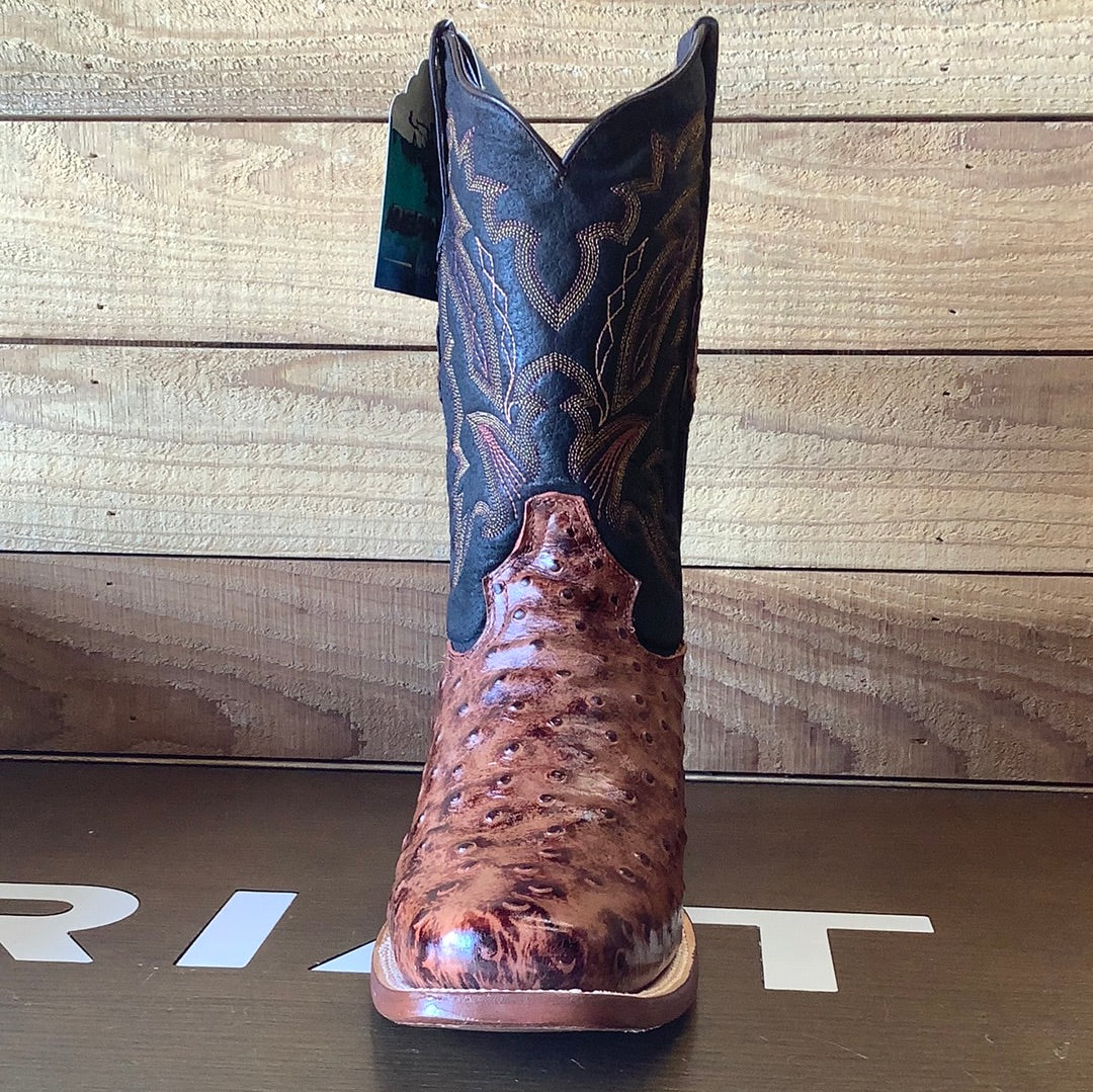 REPARO PRINT OSTRICH RUSTIC BROWN - RPE201865