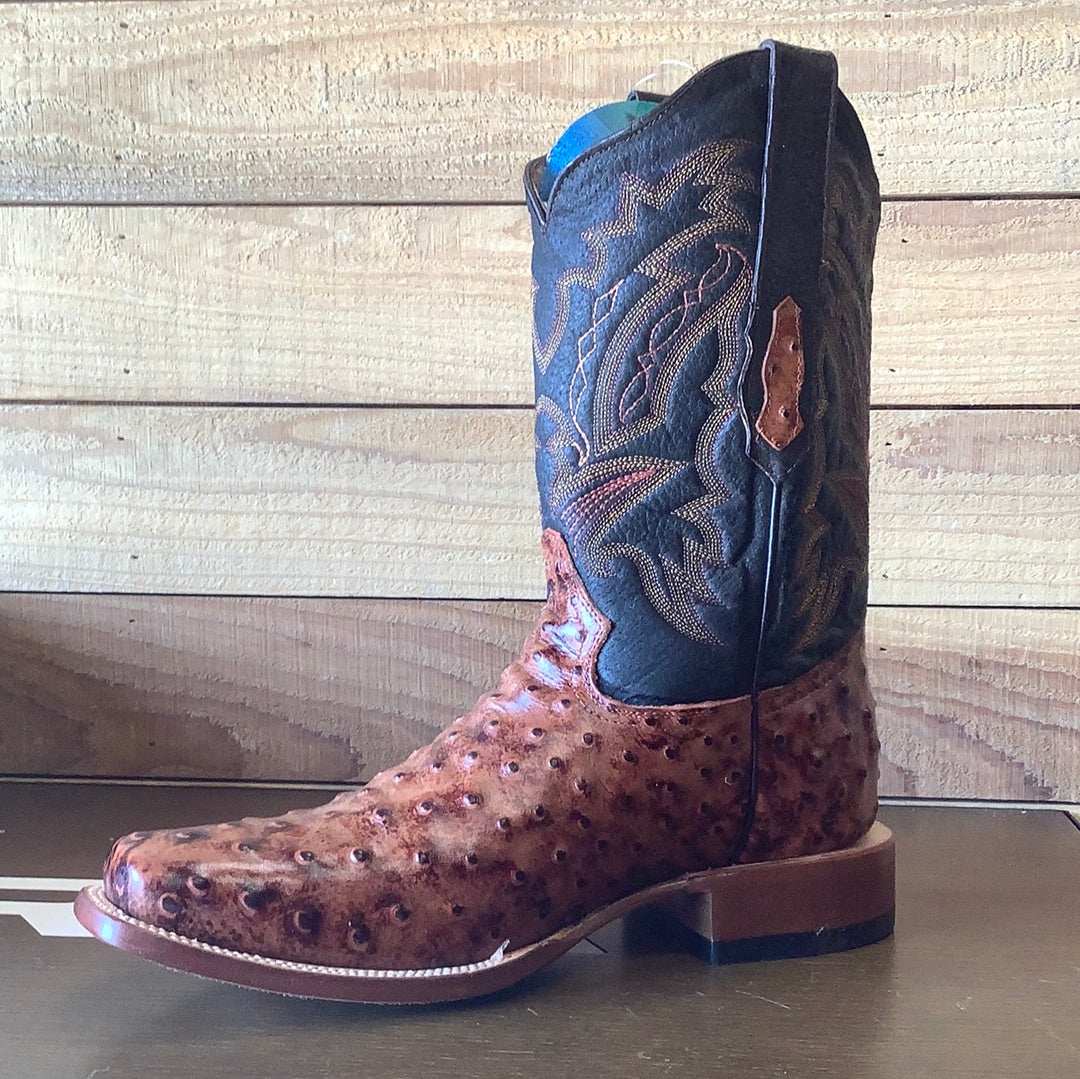 REPARO PRINT OSTRICH RUSTIC BROWN - RPE201865