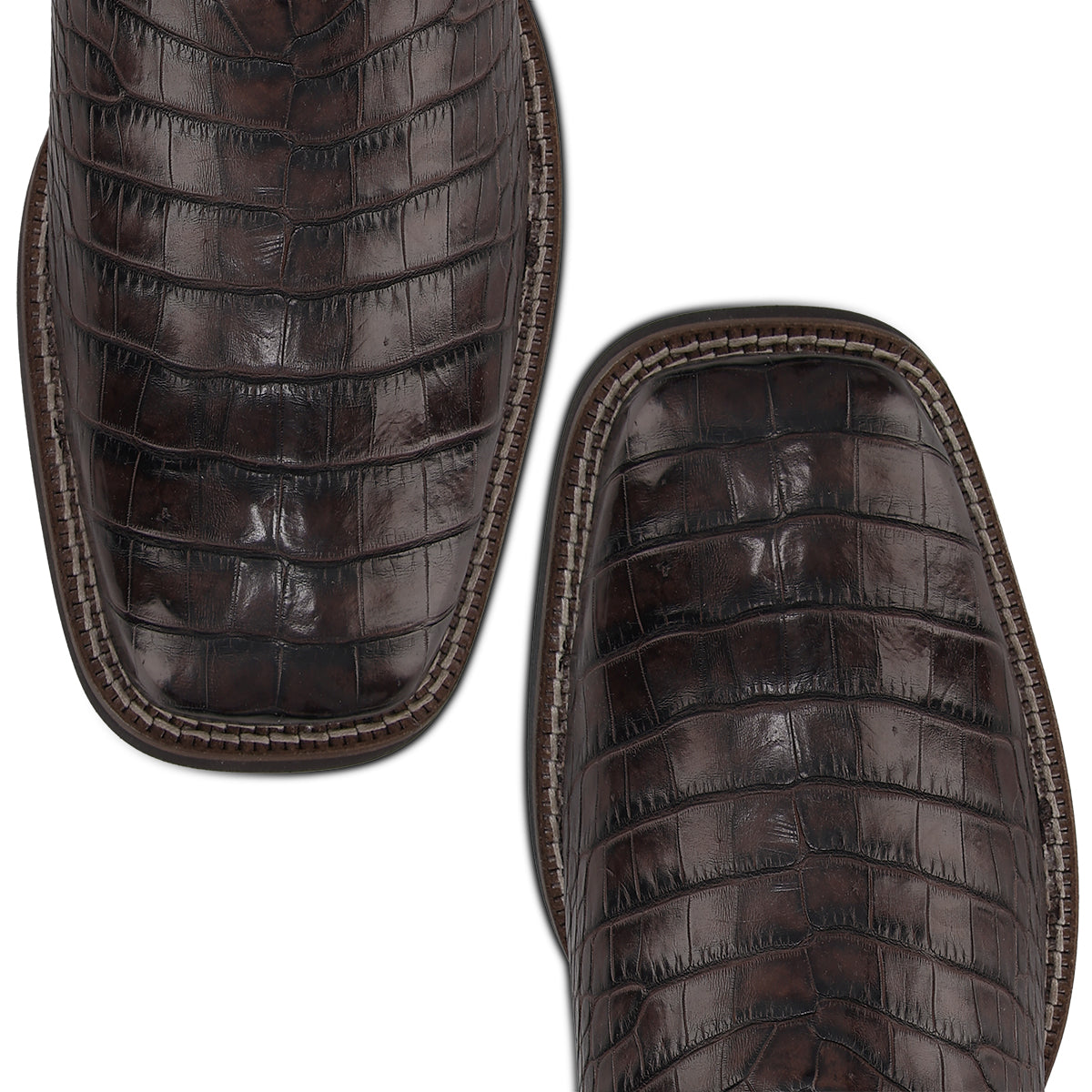 CUADRA MEN ALLIGATOR LOMO BELLY LUXO MOKA CC202-L