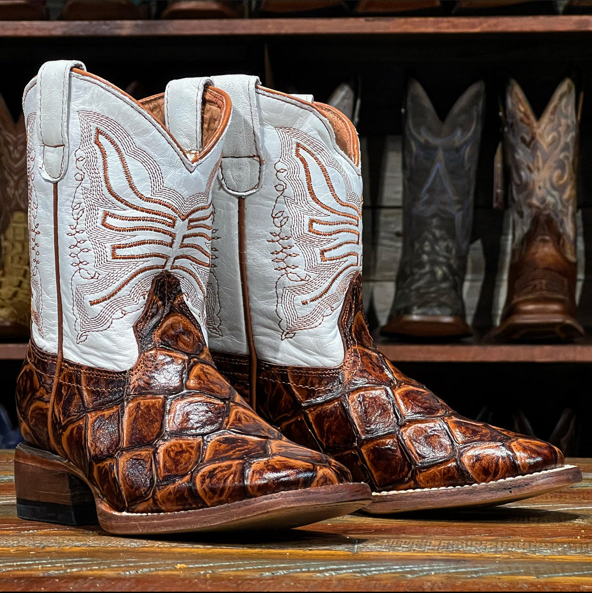 Tanner Mark Arnold cognac monster fish print cowboy boots TMY205206, front view of the white embroidered shaft