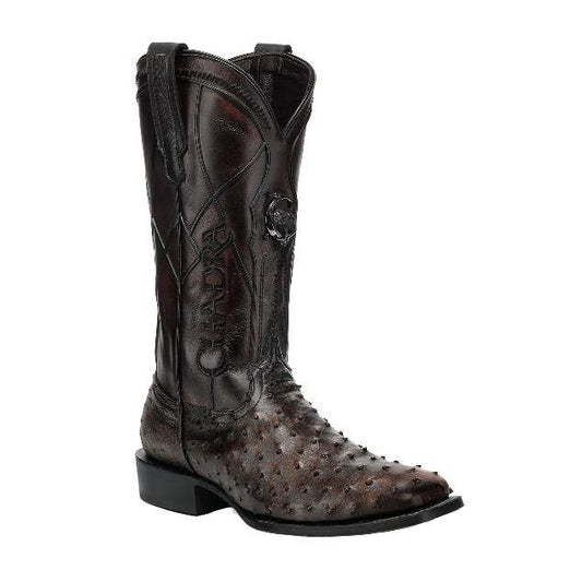 Cuadra CC352 men's ostrich boot in gold, square toe with embroidery and woven detail, view 2
