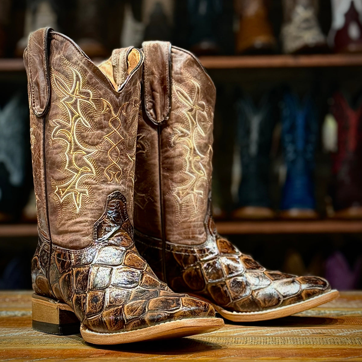 Tanner Mark youth Andy cowboy boots TMY205308 in chocolate brown monster fish print with square toe