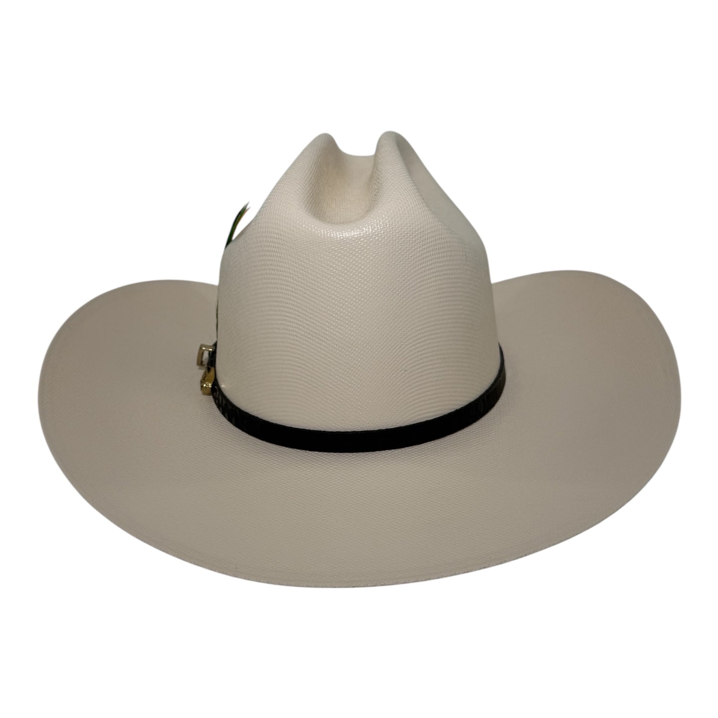 Vista posterior del sombrero vaquero Tombstone Chaparral 1000X de palma natural laqueada con acabado Master Telar