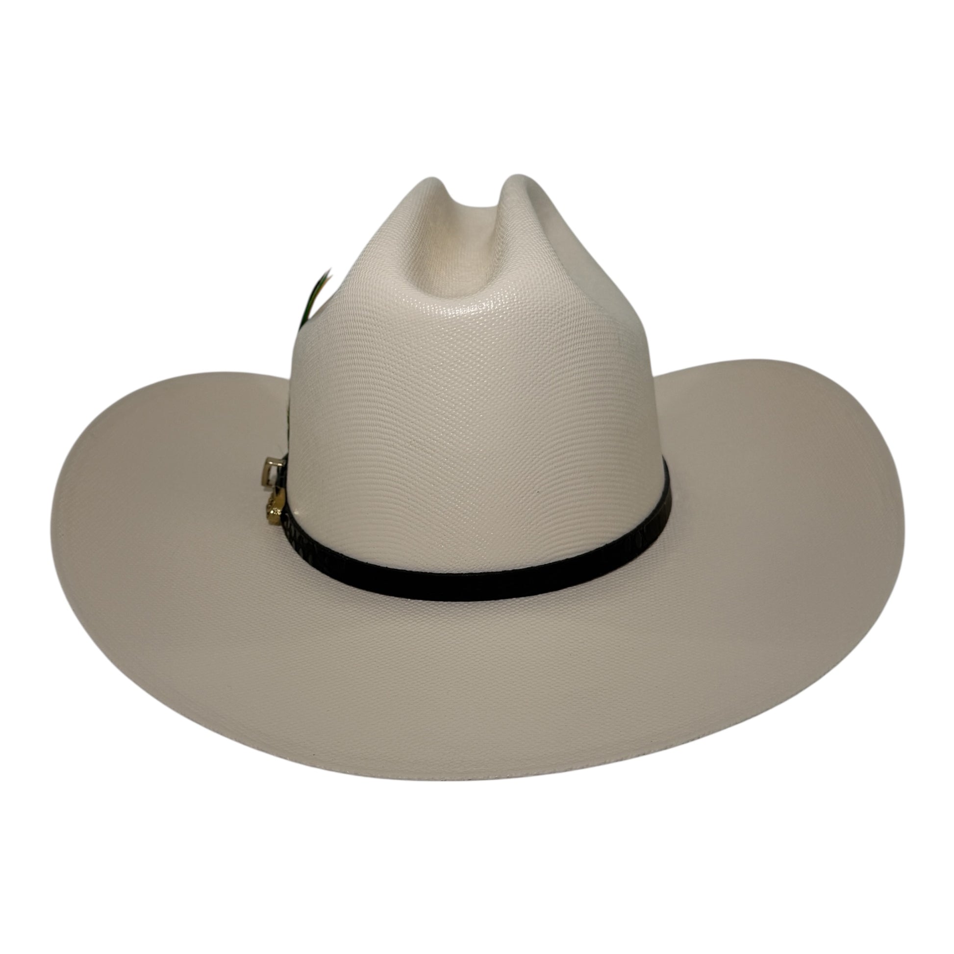 Vista posterior del sombrero vaquero Tombstone Chaparral 1000X de palma natural laqueada con acabado Master Telar
