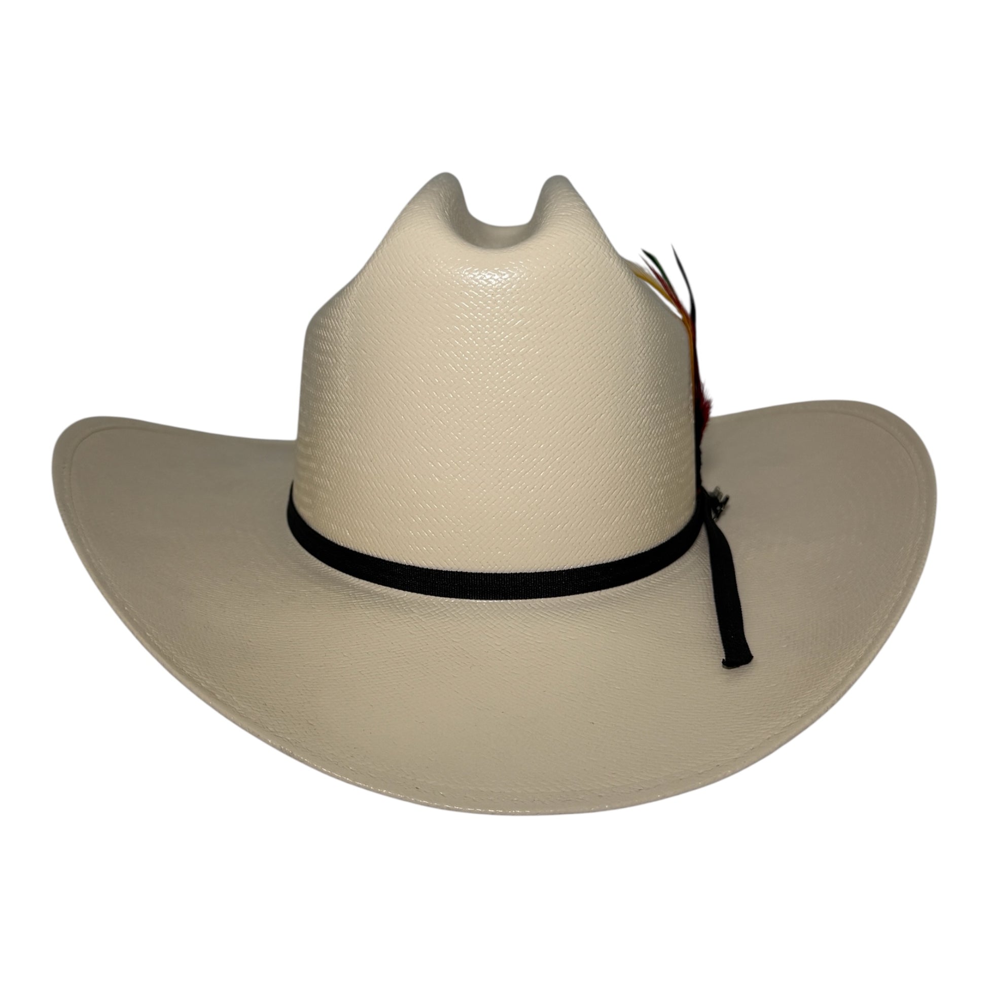 Vista posterior del sombrero vaquero Tombstone Chaparral 30X de palma natural laqueada, tejido 2x2