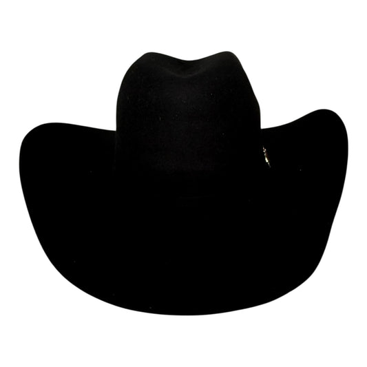 Bullhide Men's Black Wool Felt PBR Resilient 6X Cowboy Hat 0766BL