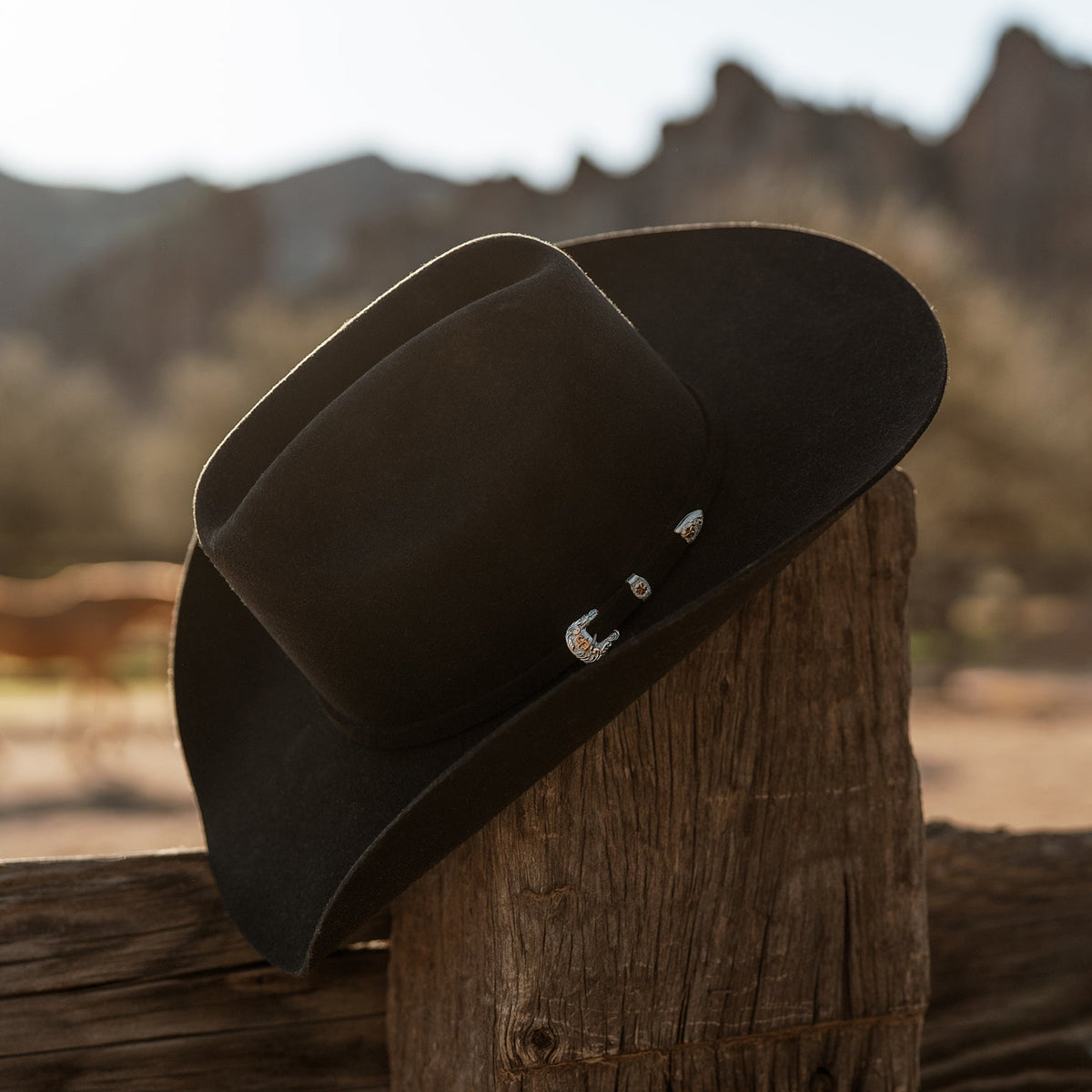 Stetson Brenham 4X black wool felt cowboy hat, side view showing 4 1/4 inch brim