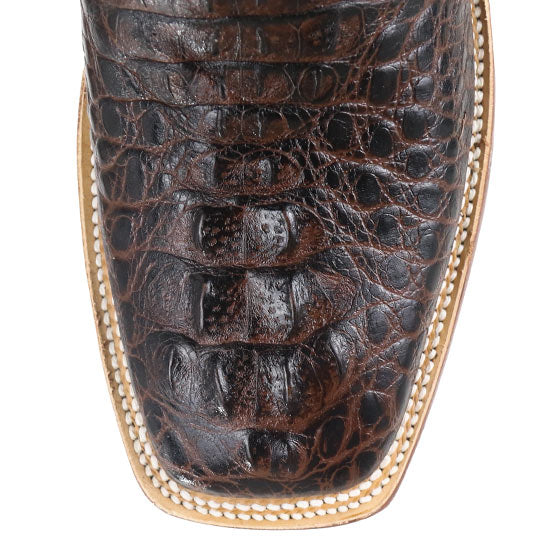 TANNER MARK Caiman Hornback Print Classic Brown / Marble Brown Top- TM201701