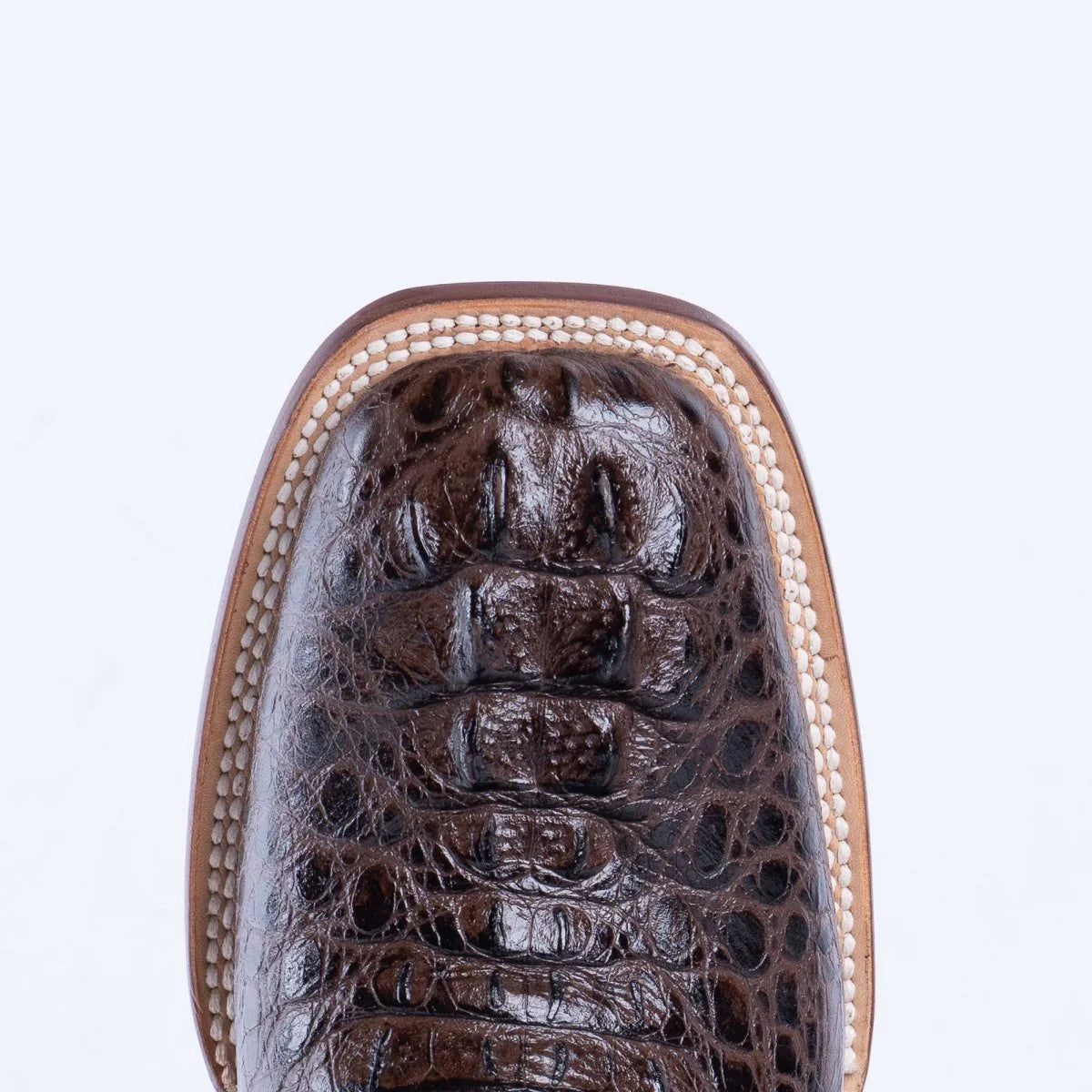 TANNER MARK Caiman Hornback Print Classic Brown / Marble Brown Top- TM201701