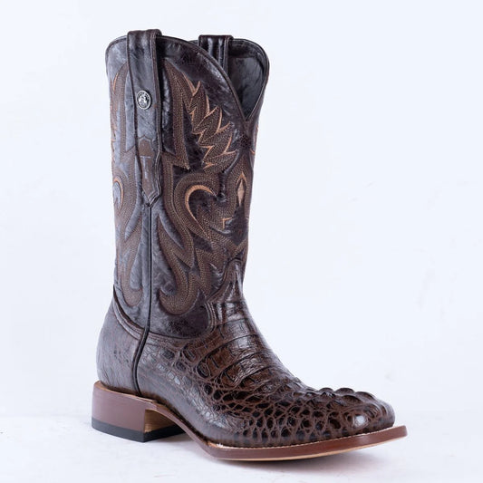 TANNER MARK Caiman Hornback Print Classic Brown / Marble Brown Top- TM201701